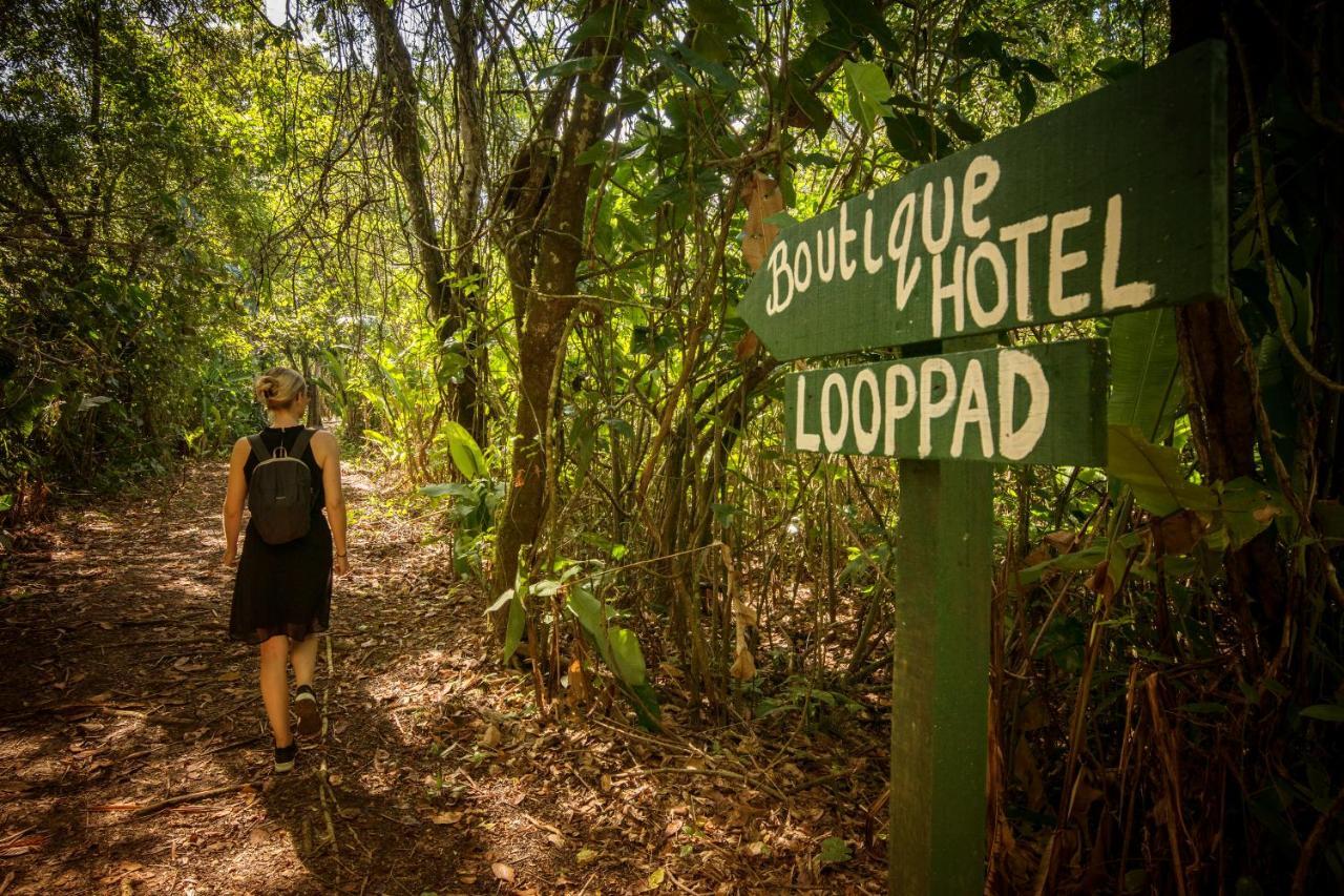 Boutique Hotel Peperpot Meerzorg Exteriör bild